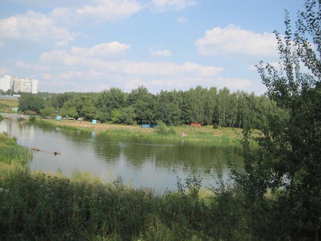 006.jpg