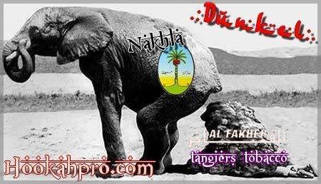 Nakhla Nakhla
