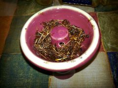 Saalaam Herbal