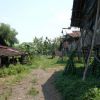 P1100065.JPG