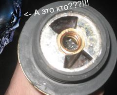 Он вышел!