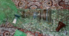 DSC06806.jpg