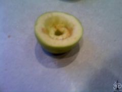 PIC111213003.jpg