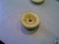 PIC111213004.jpg