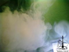 13122011069.jpg
