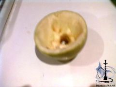 13122011061.jpg