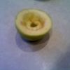PIC111213003.jpg