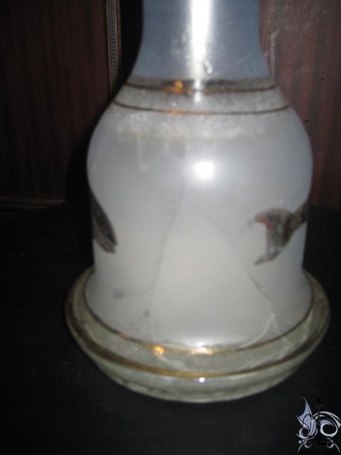 005.JPG