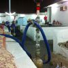 Saudi shisha