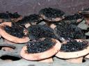 Black muassel conveer