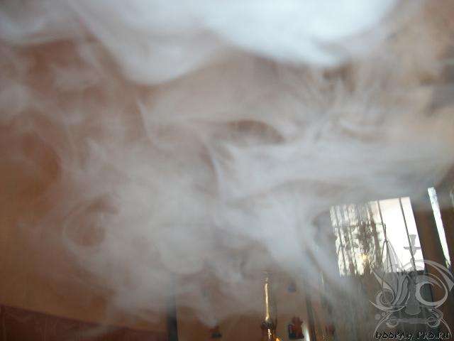 100_5310.JPG