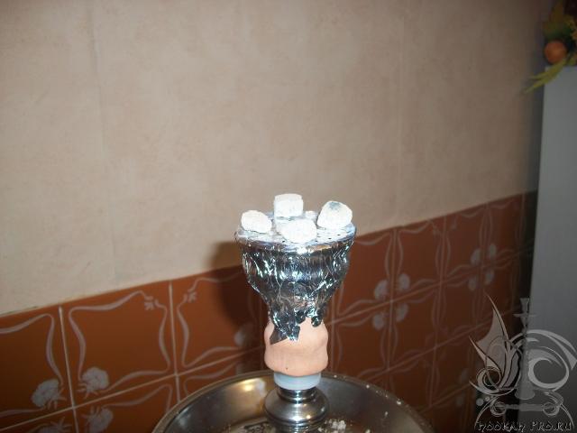 100_5311.JPG