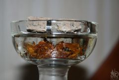 IMG_9937.jpg