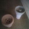 IMG_20120527_175117.jpg