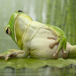 Фотография Hozain