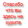 Фотография coupe
