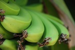 Фотография Ecuador