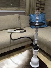 Starbuzz Lassie