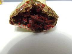 DSCN2744