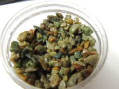 DSCN2723