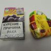 DSCN2737