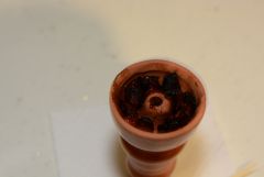 DSC 4810 0