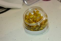 DSC 4832 0