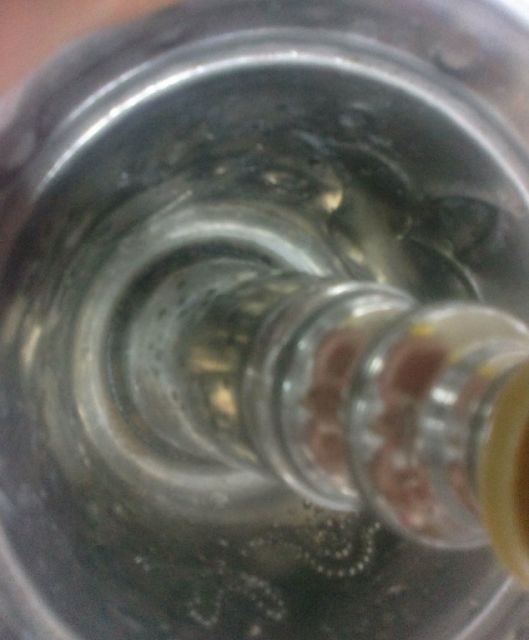 image (6)
