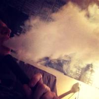 Фотография Snakis