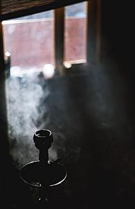 Фотография vitro
