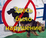 Фотография KayaHookah