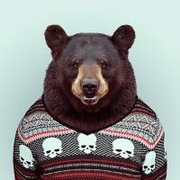 Фотография Arthur_59