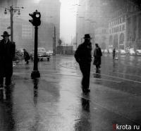 Фотография lott2